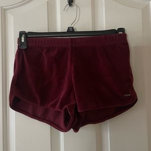 Burgundy Red Velvet Hollister Shorts